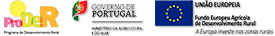 Financiamento