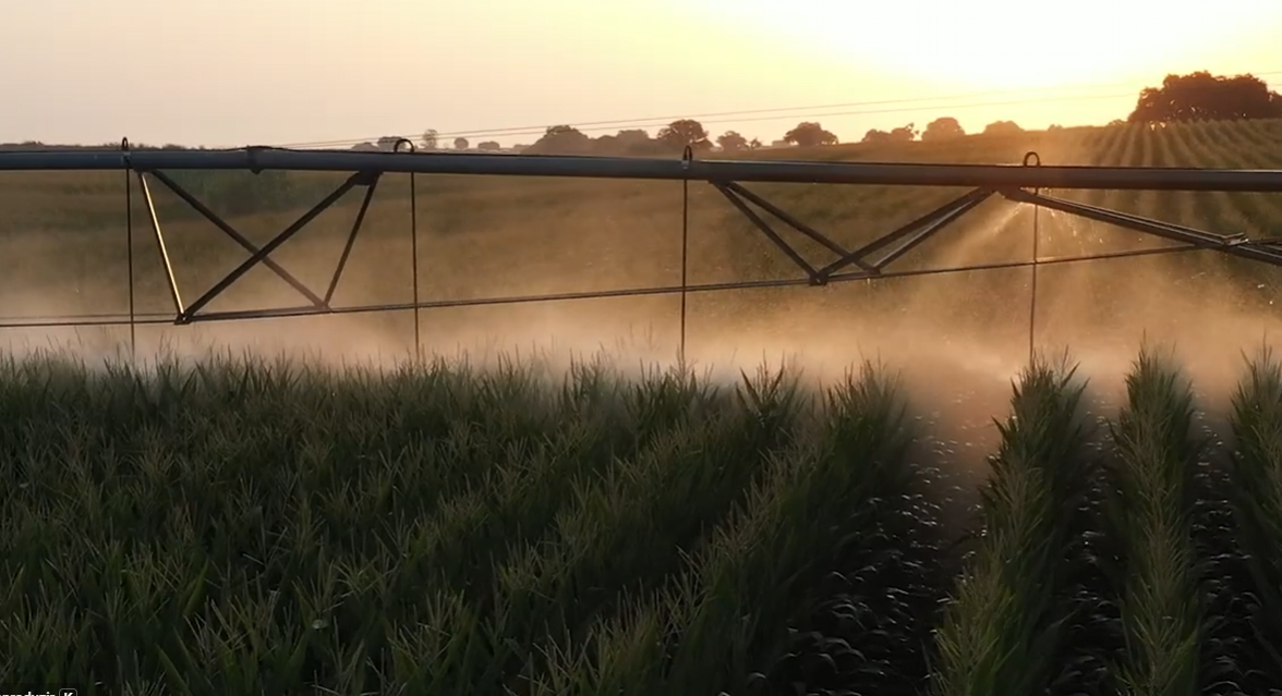 Captura de ecrã 2026 02 16 115604