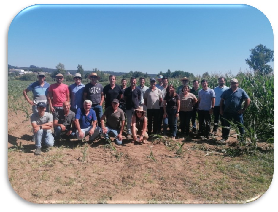 Grupo focal coimbra 2024 1