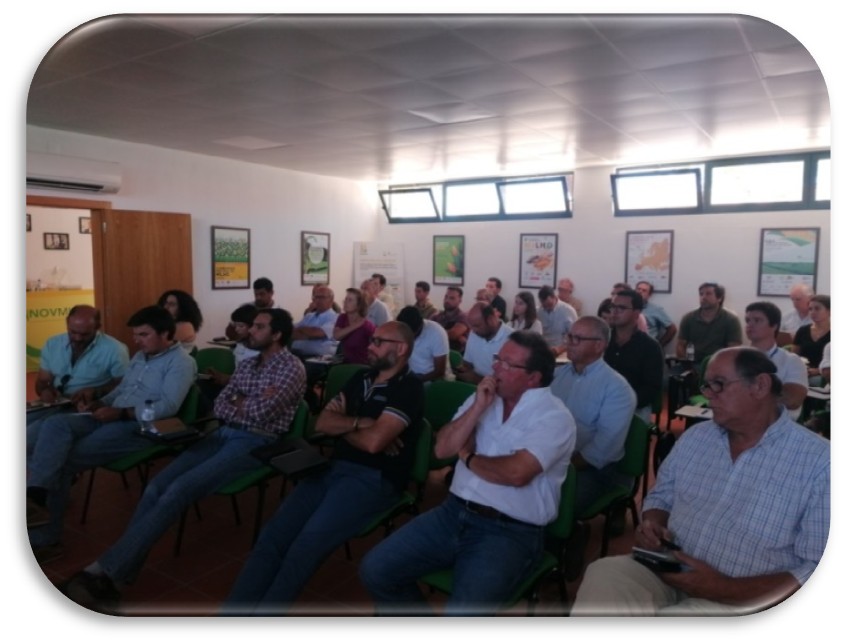Grupo focal coruche 2024 1