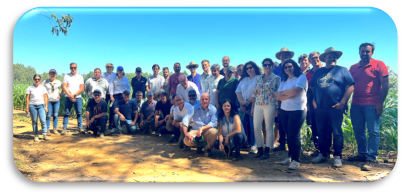 Grupo focal vila do conde 2024 2.jpg