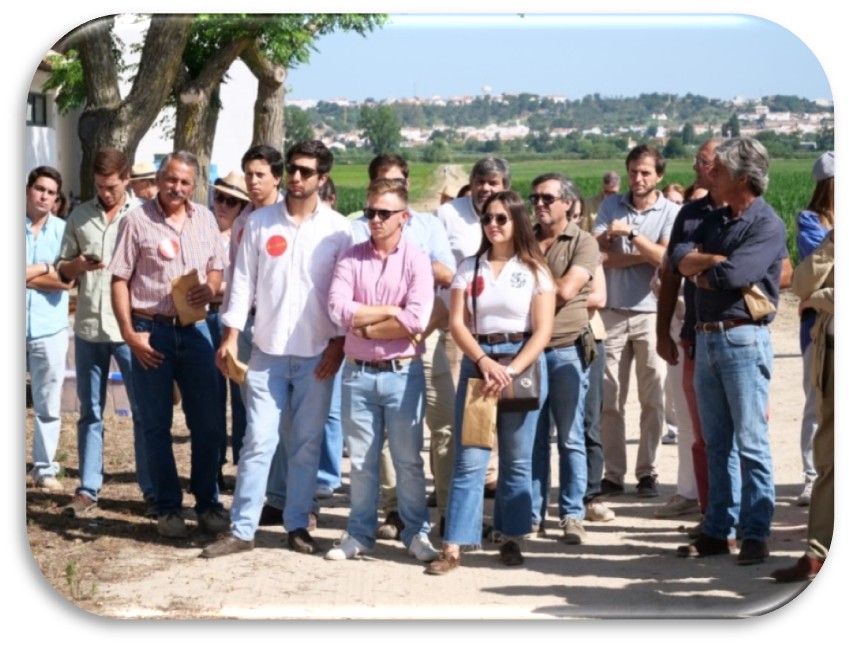 Dia de Campo 2023